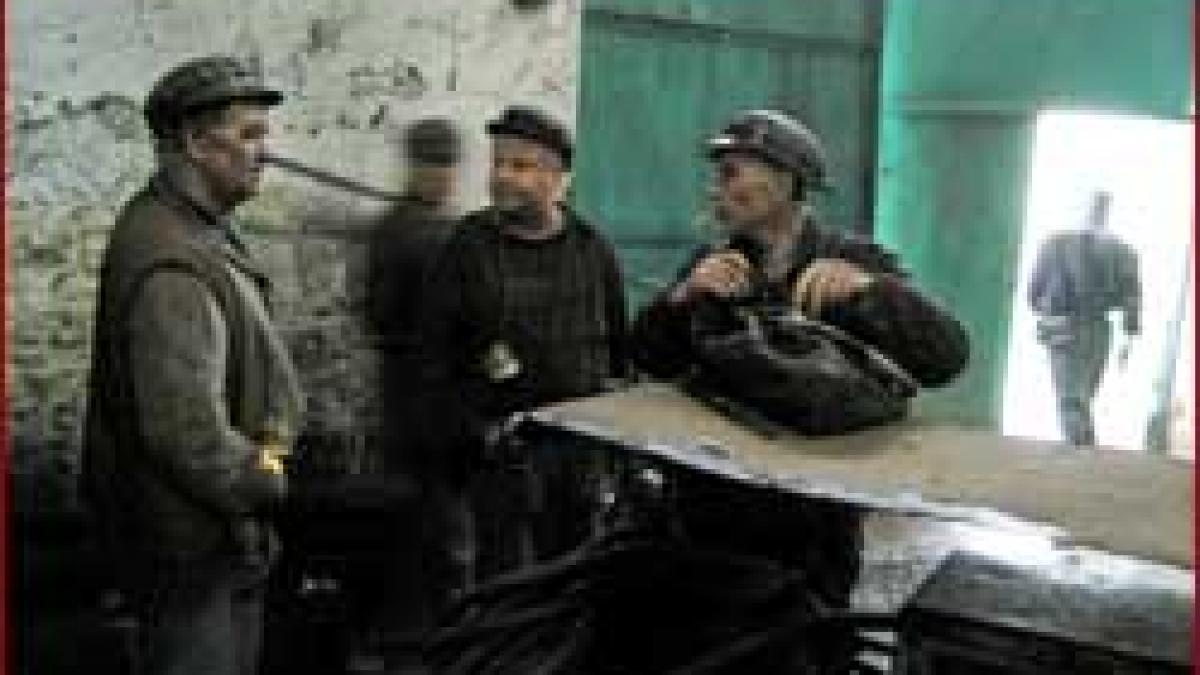 Reprofilare - De la carbuni la iahturi