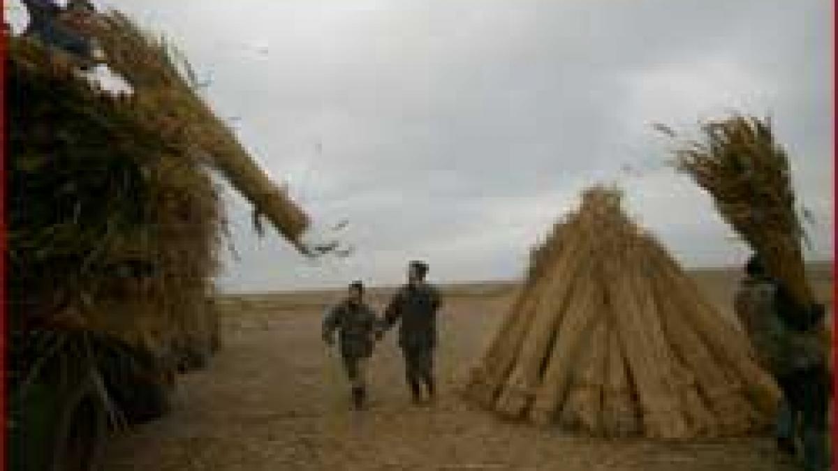 Scandalos - Ilegalitati PeNaLe la apogeu in Delta