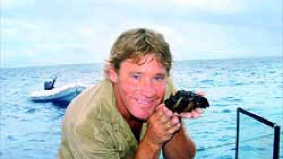 Documentare  -  Omagiu Steve Irwin