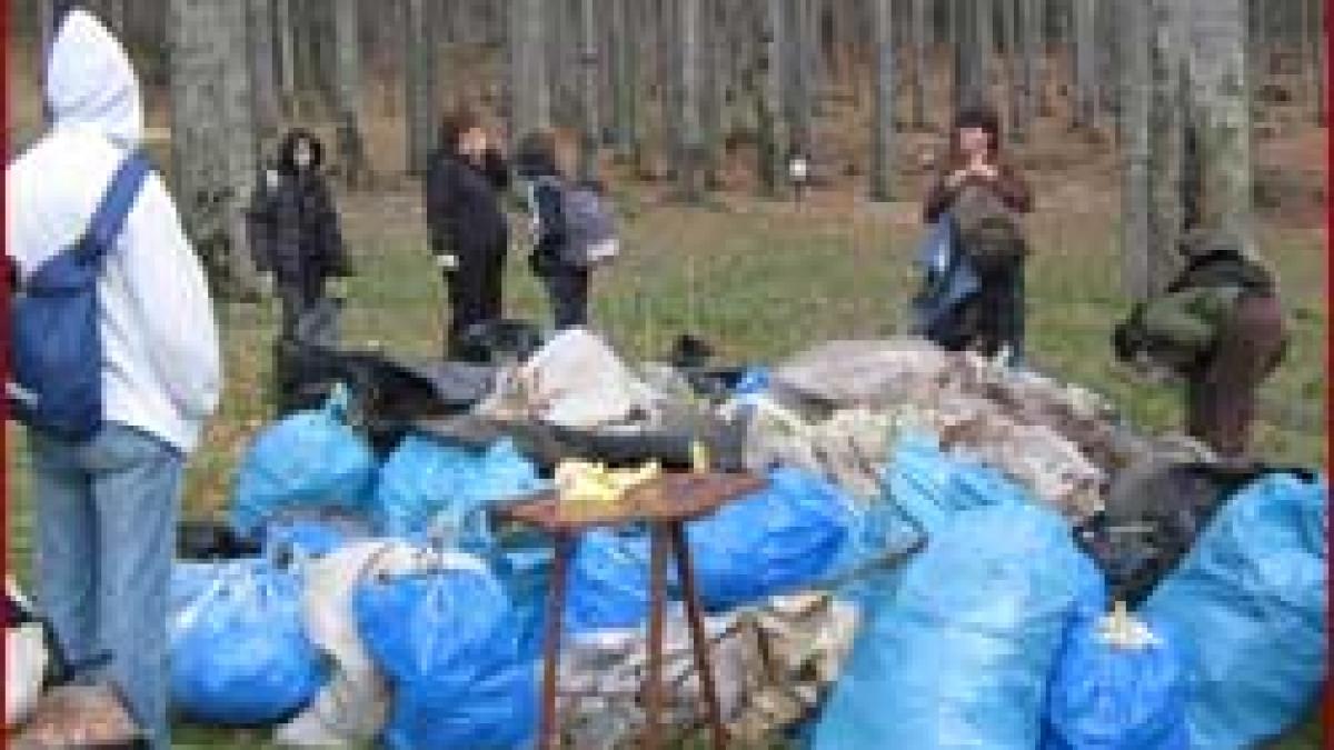 Ecologişti - Pădurea din Buşteni, curăţată de voluntari