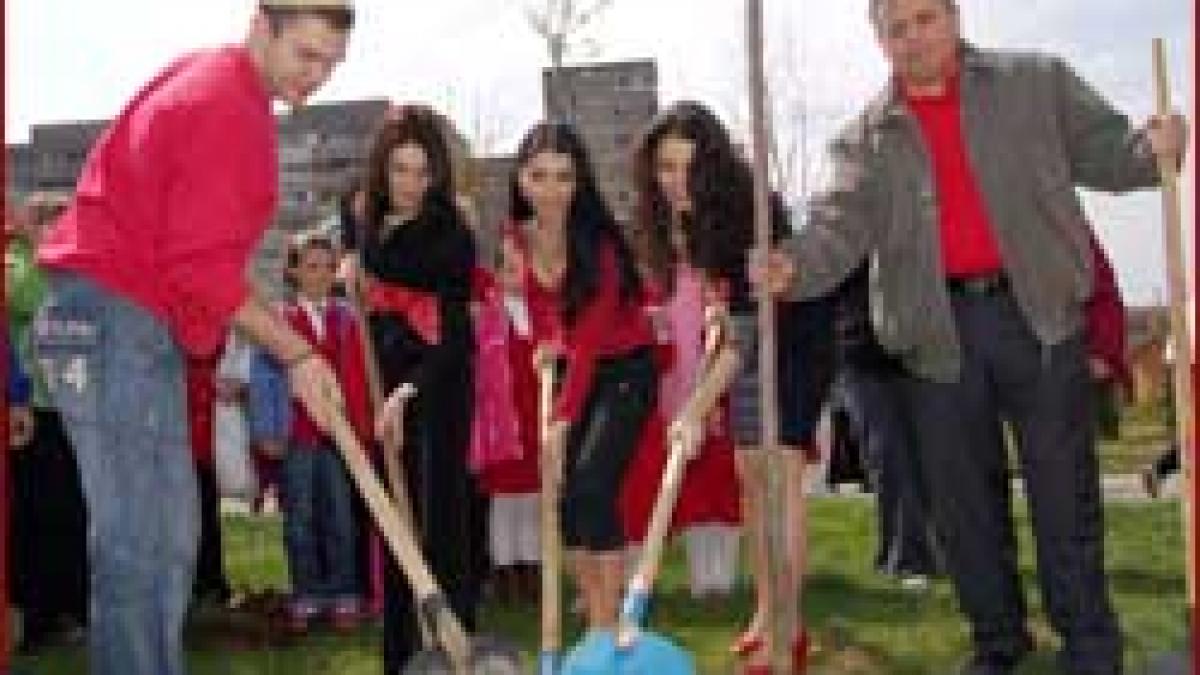 Primul pas in luptă - Bety (Etnic) are şanse mari să ajungă preşedinte!!