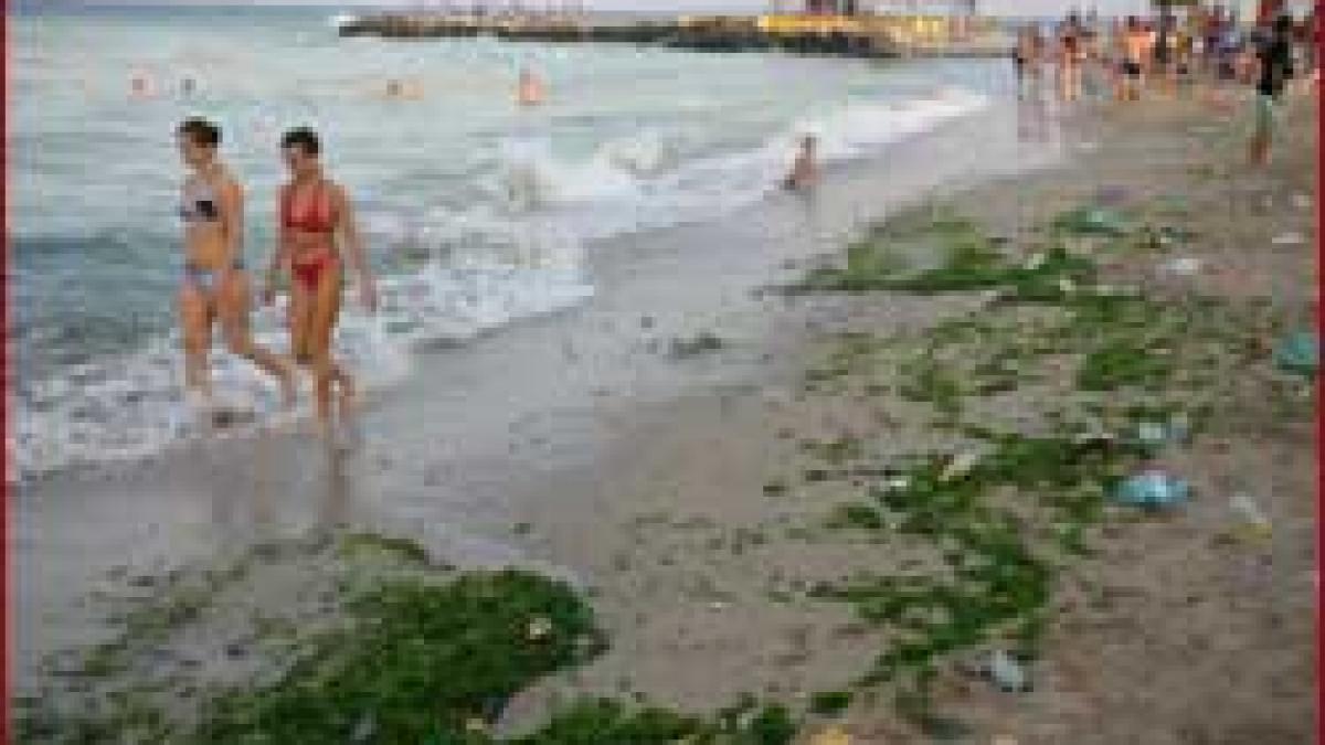 Invitaţie la mare - La vară, fără alge pe litoralul romanesc
