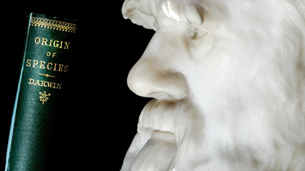 Epistolarul, după Charles Darwin