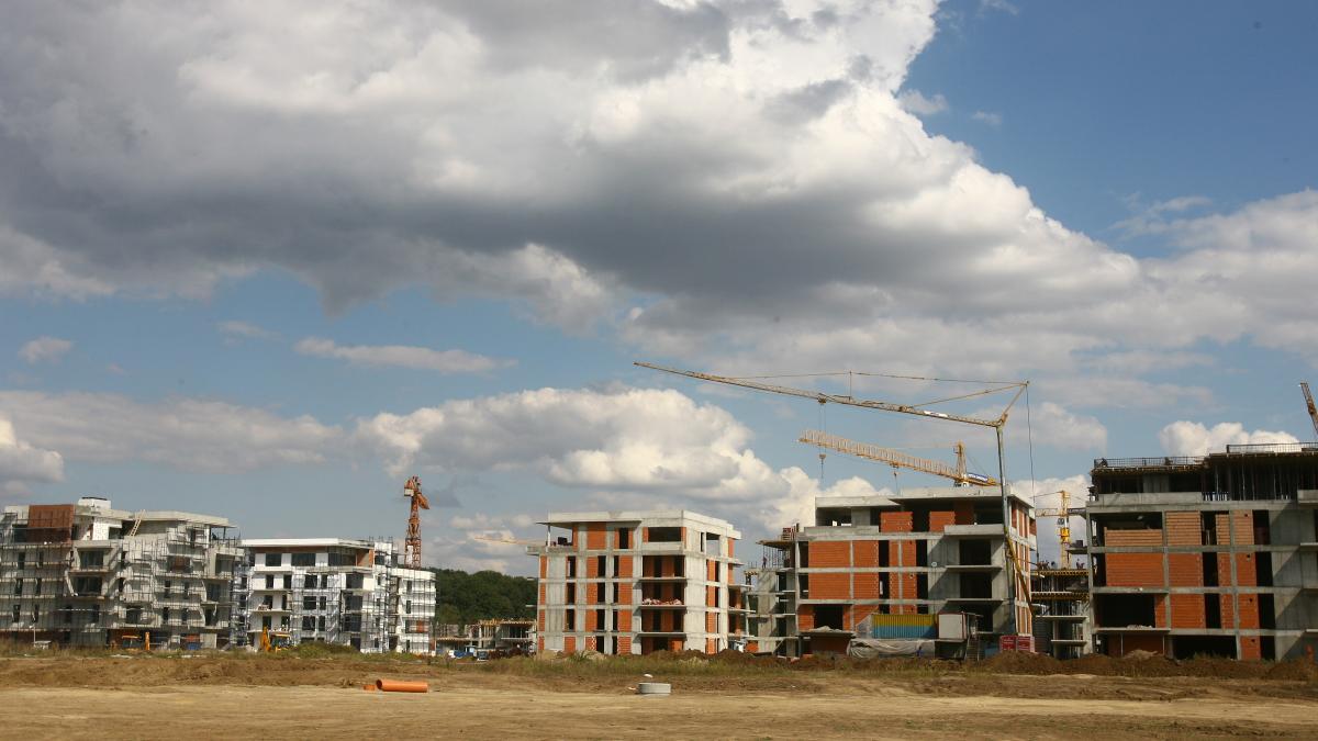 Febra construcţiilor