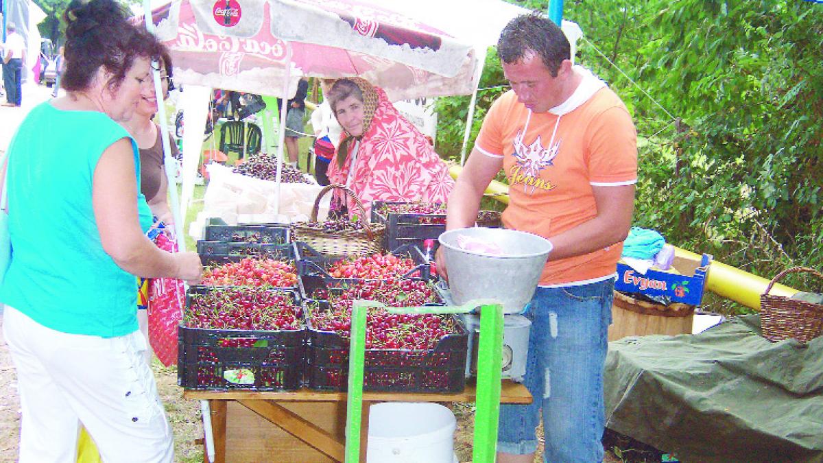 Poftiţi la cireşe gustoase!