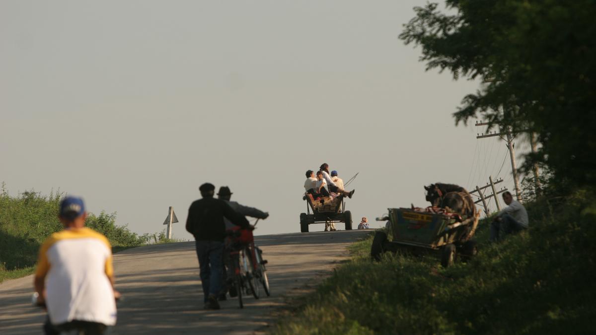 Basarabenii, ultimii la despăgubiri