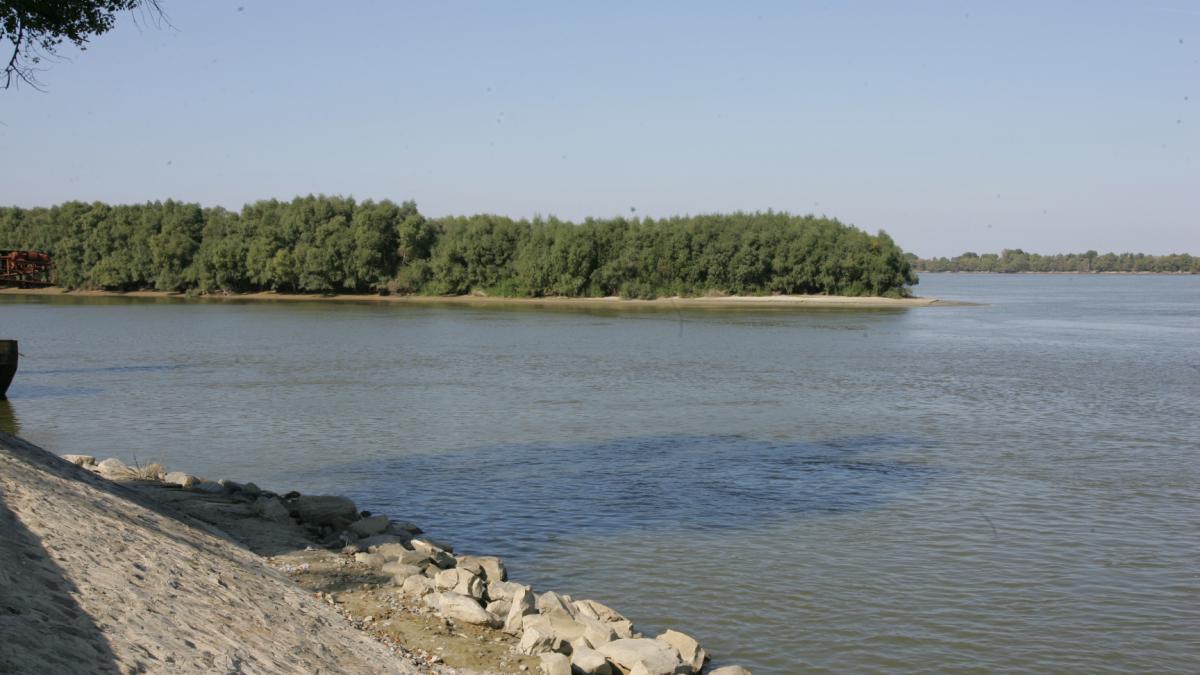 Dig de dirijare pe "Braţul rău"