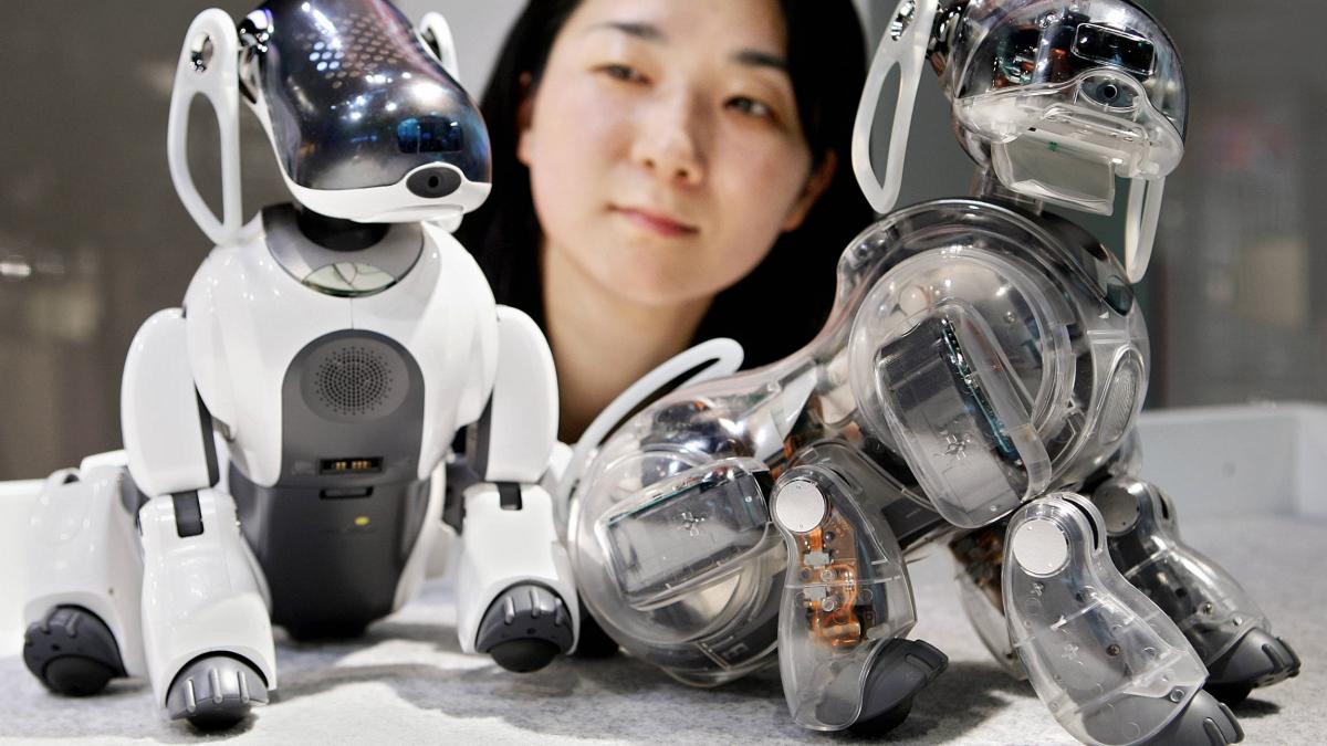 Neuroni de şoarece, model pentru roboţi