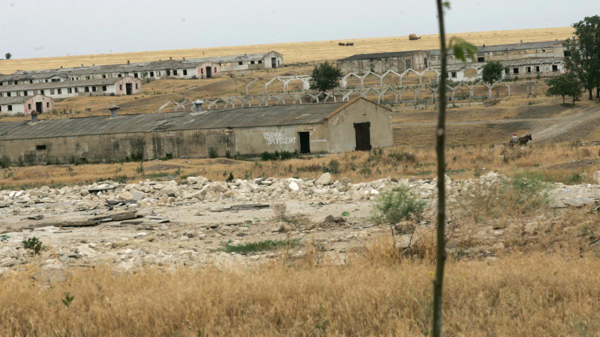 Agricultură sovietică, "soluţii" americane