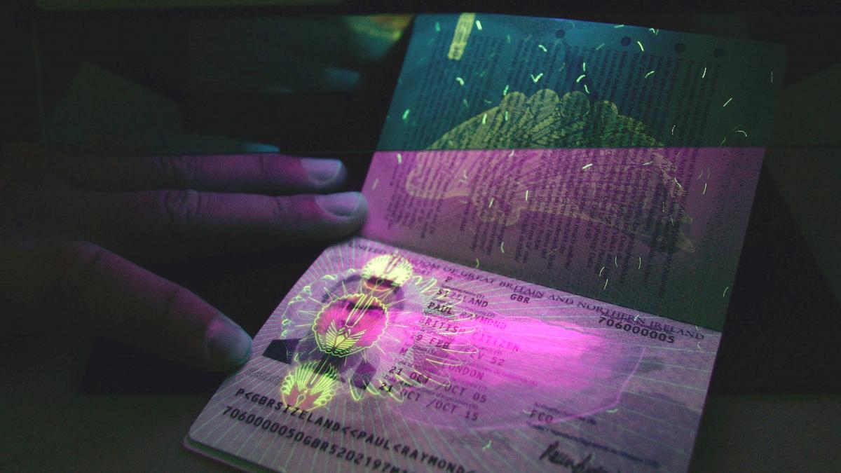 Licitaţie cu scăntei la Interne