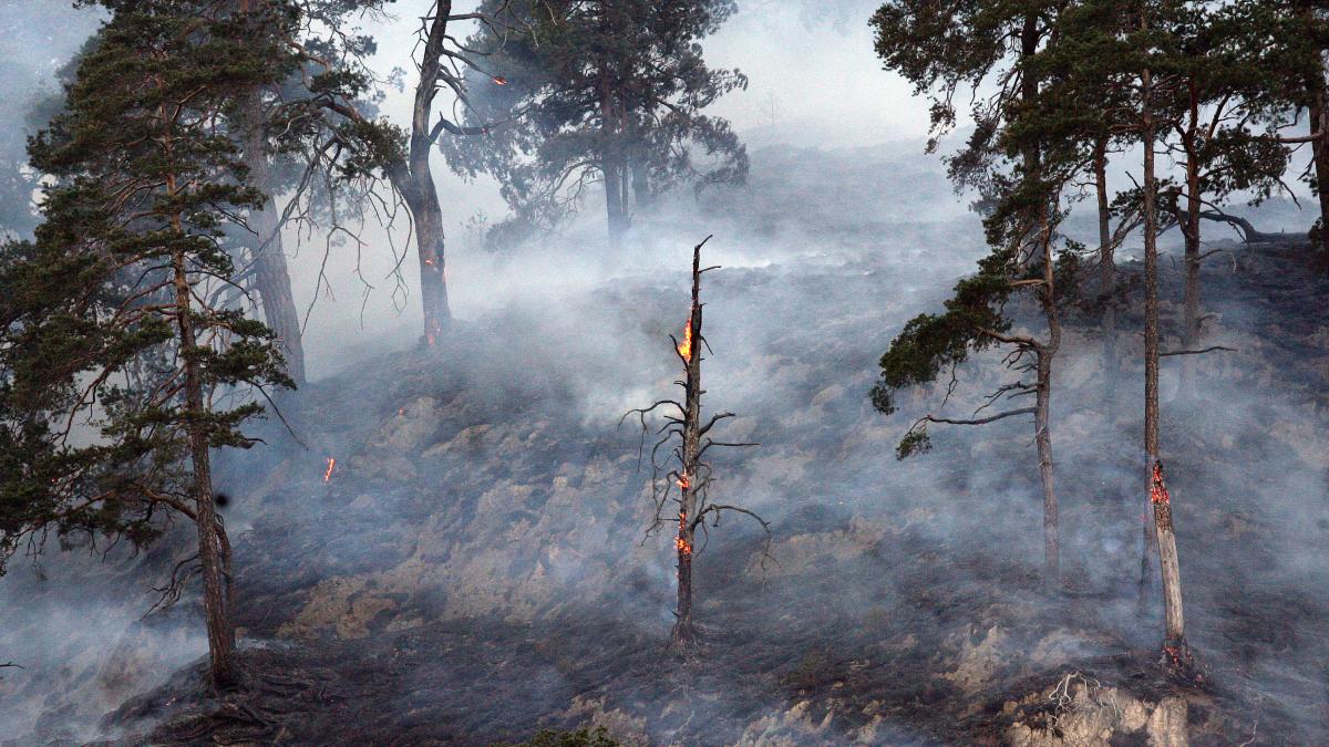 Nu avem cu ce stinge incendiile de pădure