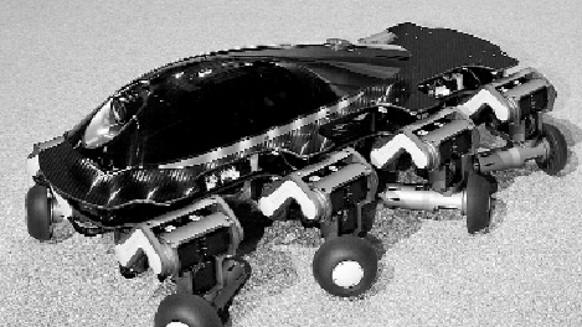 Metamorfoze robotice