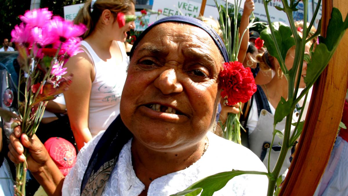 Au pus căpuşe florilor 