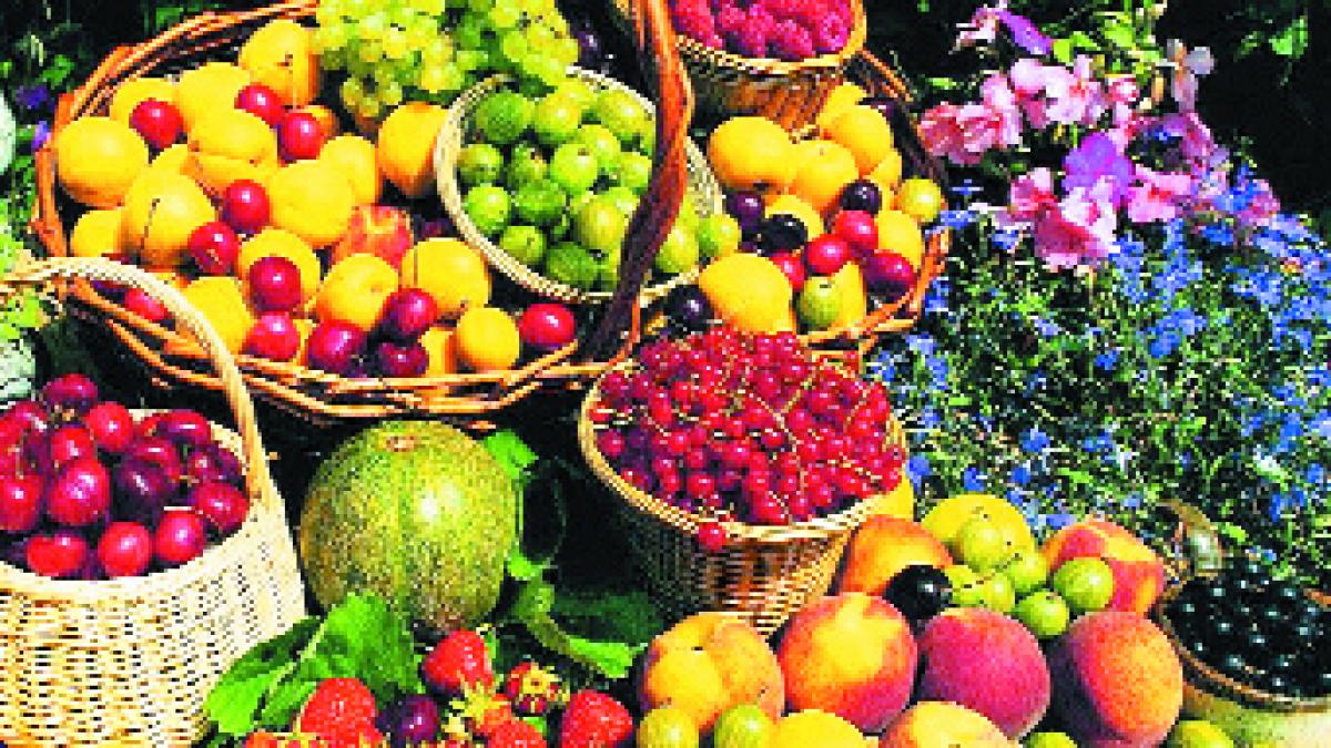 Alimentaţia viitoarei mame