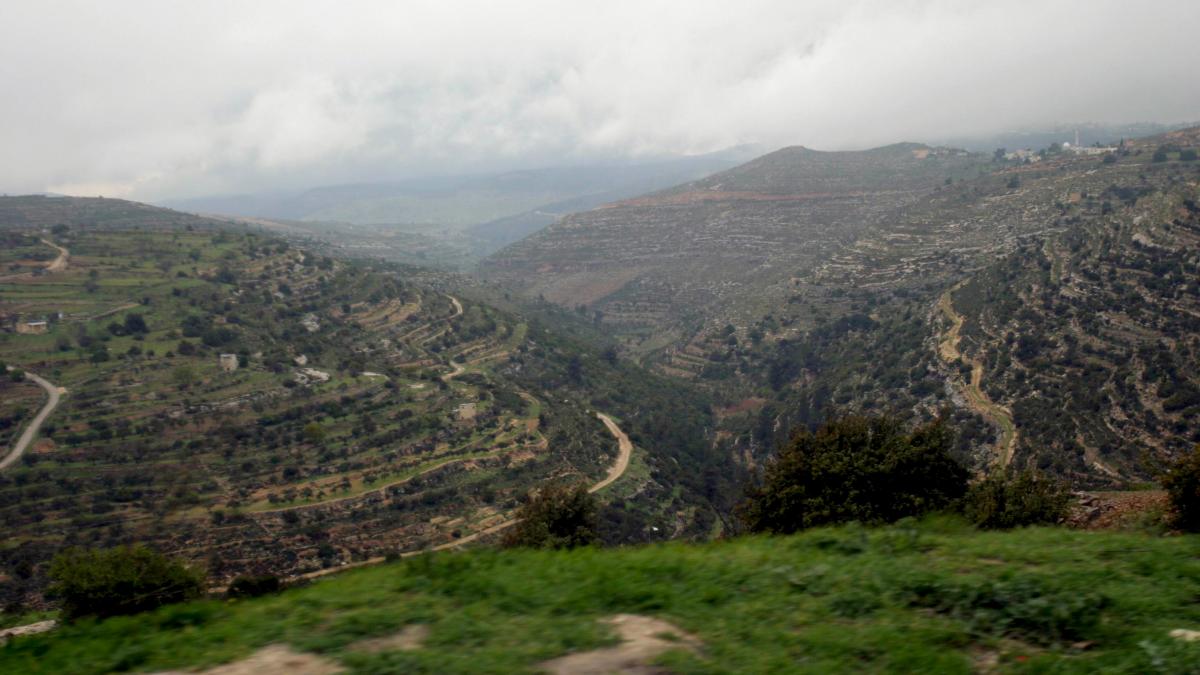 Prototipul evreului romăn din Israel