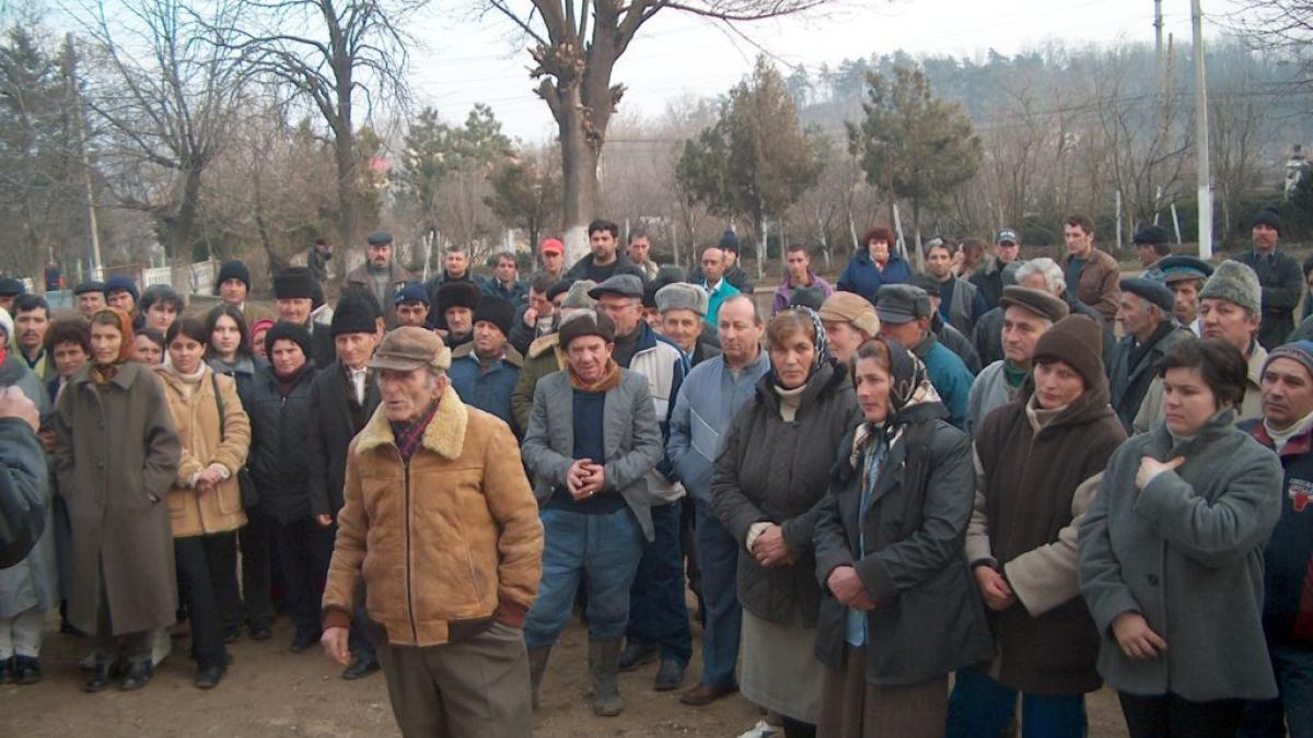 Record /  Locuitorii din Pericei vor să intre cu ceapa in Guiness Book