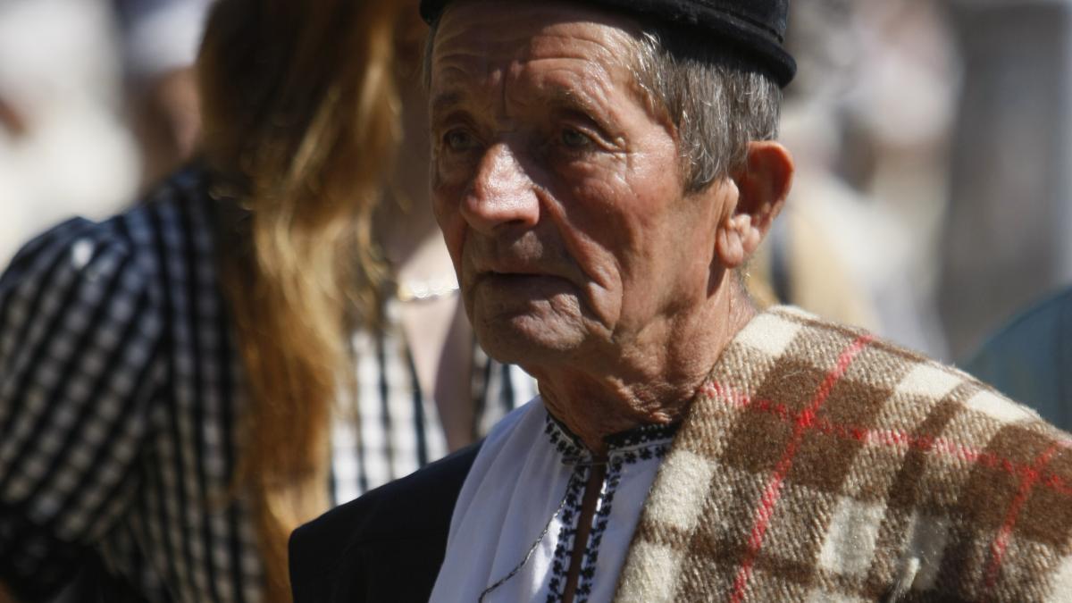 Toamna mieilor - Intorsul oilor de la munte 