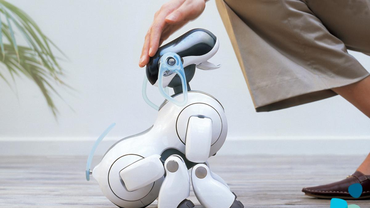 Căţelul-robot, prieten al soldatului
