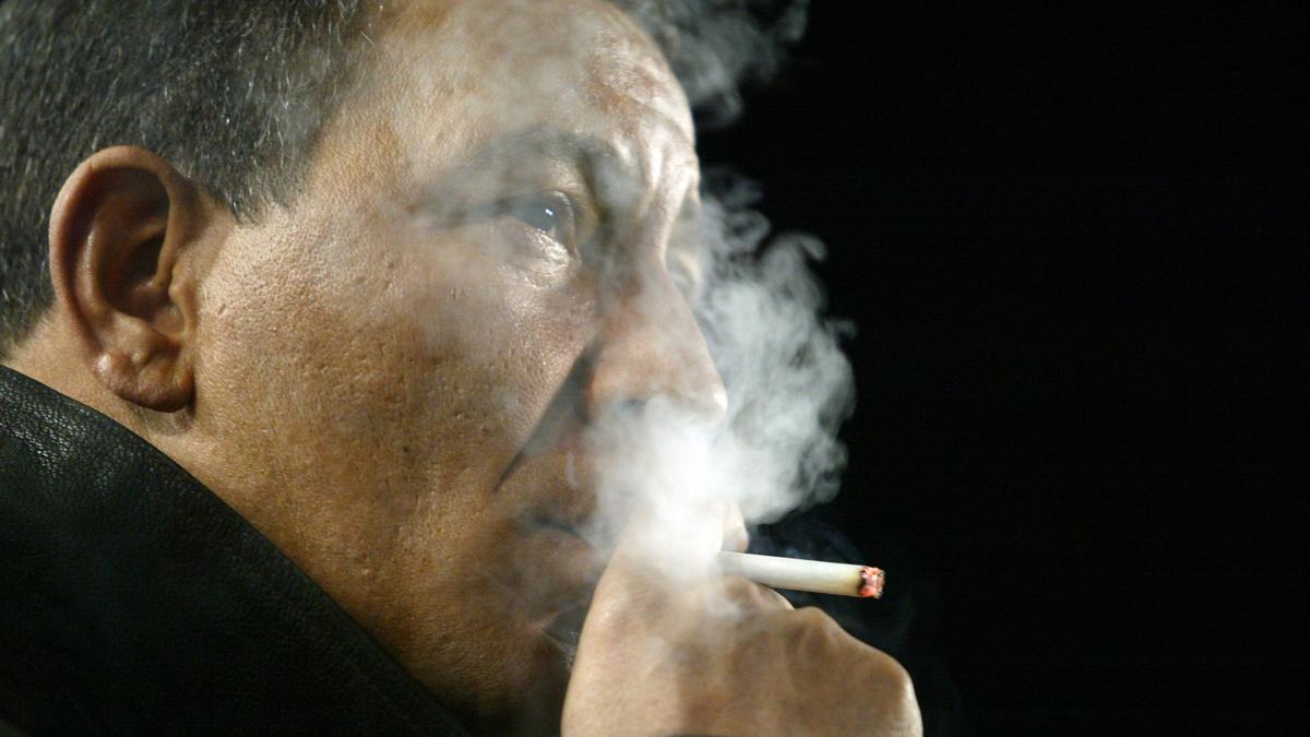 Chelsea - Vine Henk Ten Cate