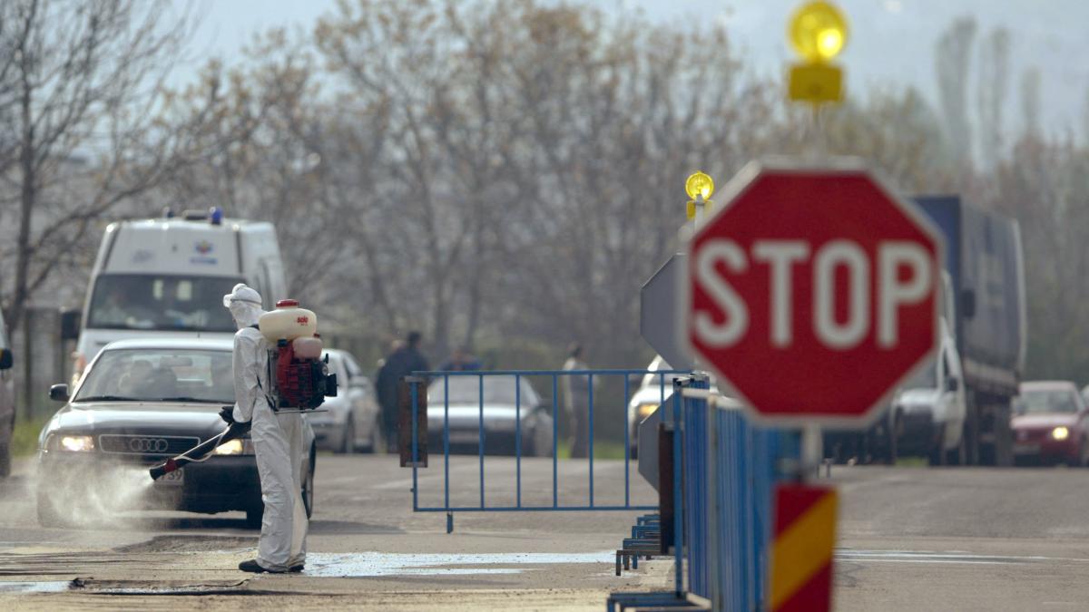 Cinci rapoarte in căutarea unui verdict