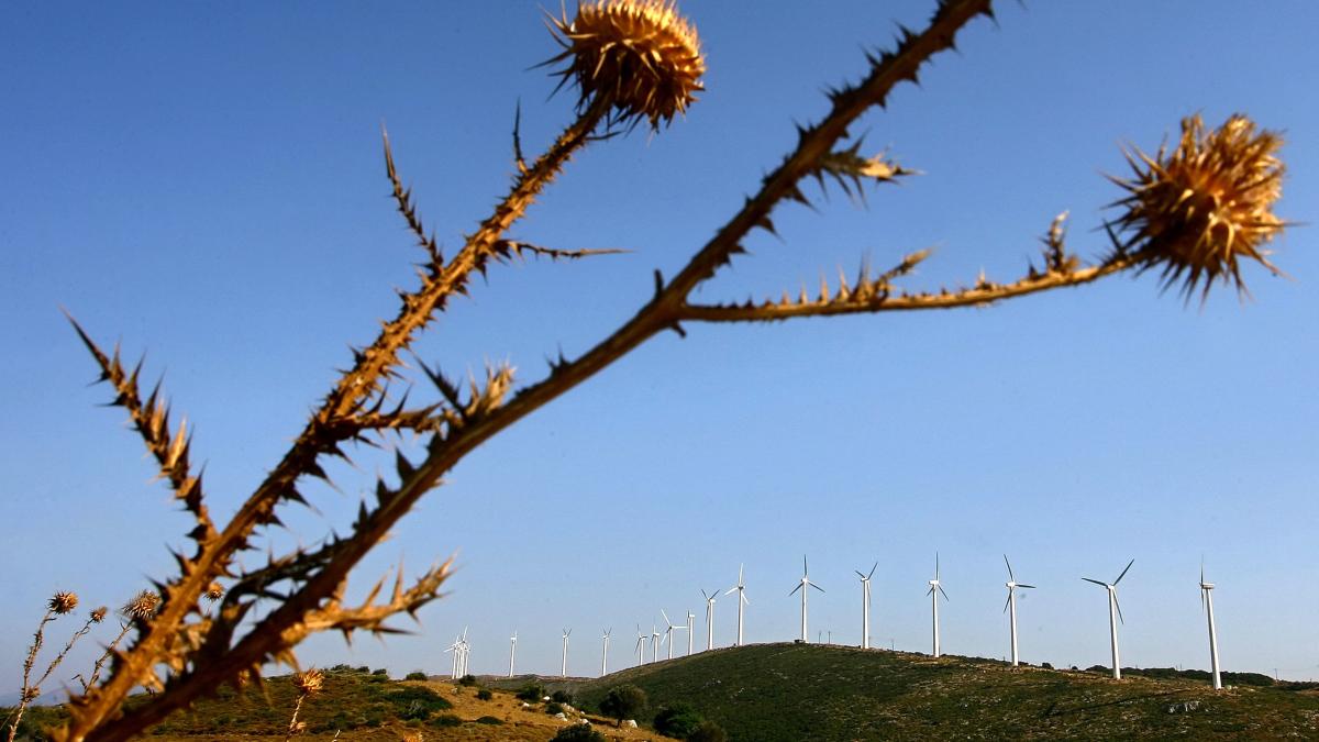 Primarii vor eoliene in Delta Dunării