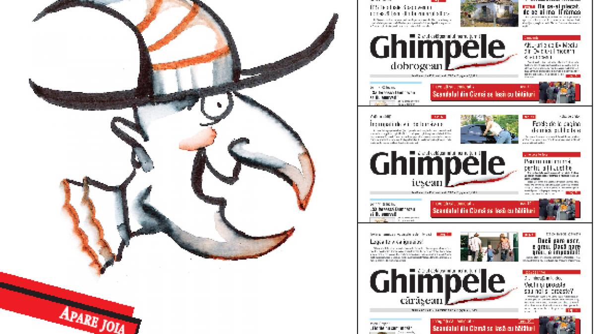 Reţeaua "Ghimpele"