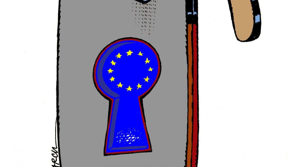Euro-parlamentare sau leu-parlamentare?