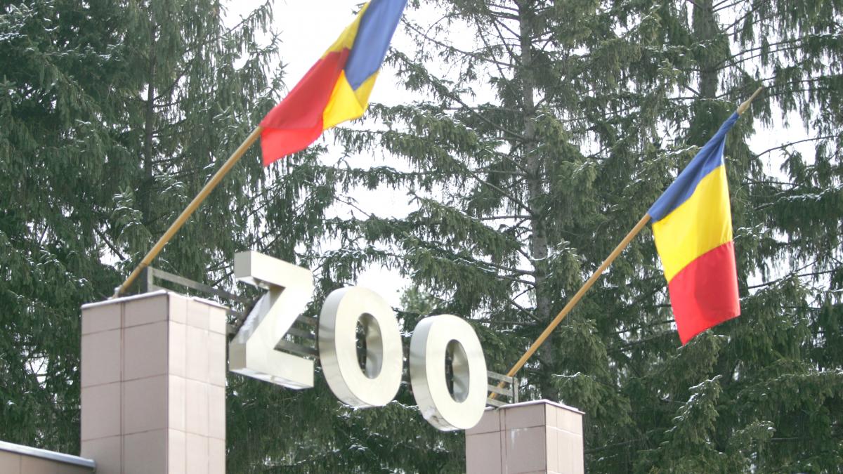 Cartier de vile lăngă Zoo