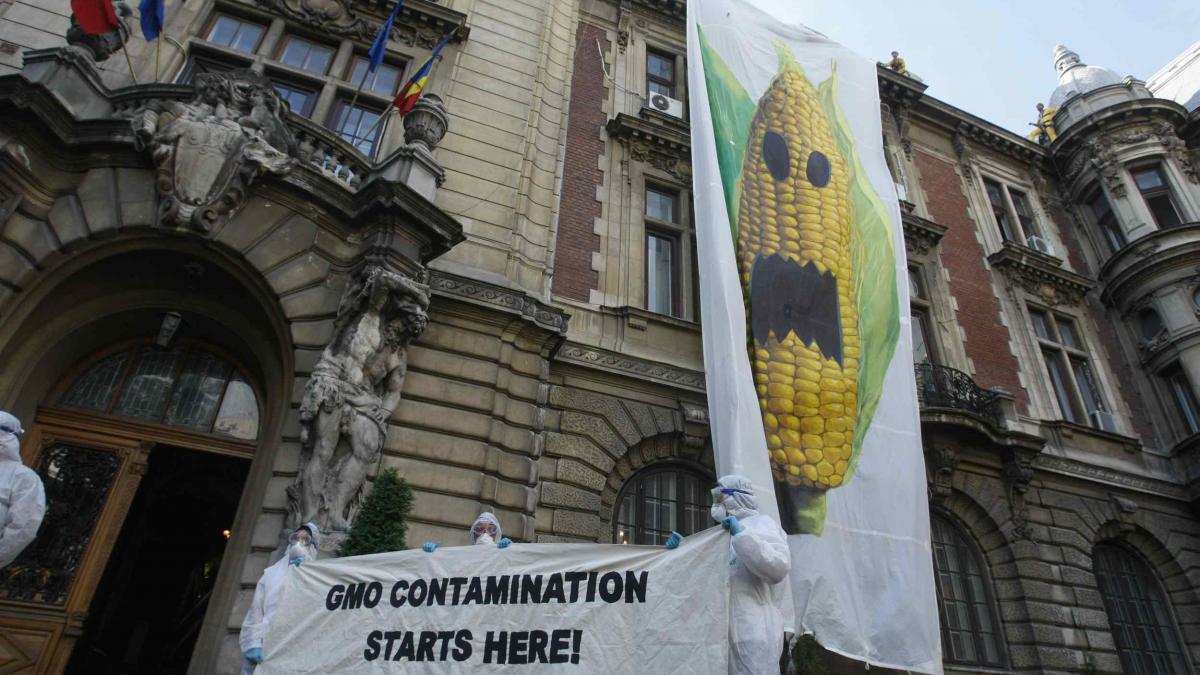 Succese ecologiste made in Greenpeace