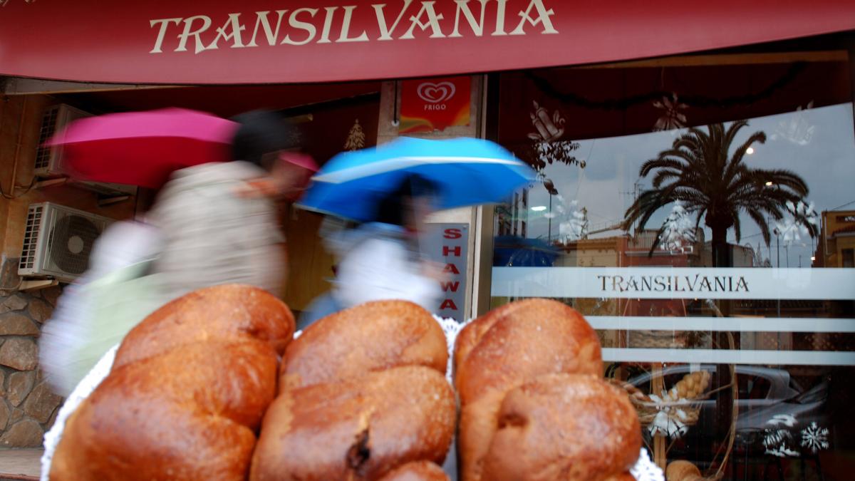 Sărbători la Castellon - Cozonaci cu aromă de acasă