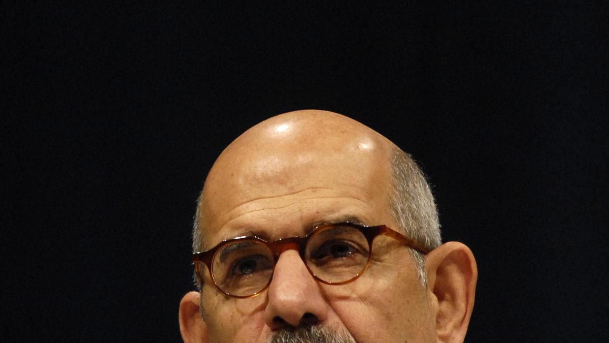 Kazacioc vienez cu Mohamed ElBaradei
