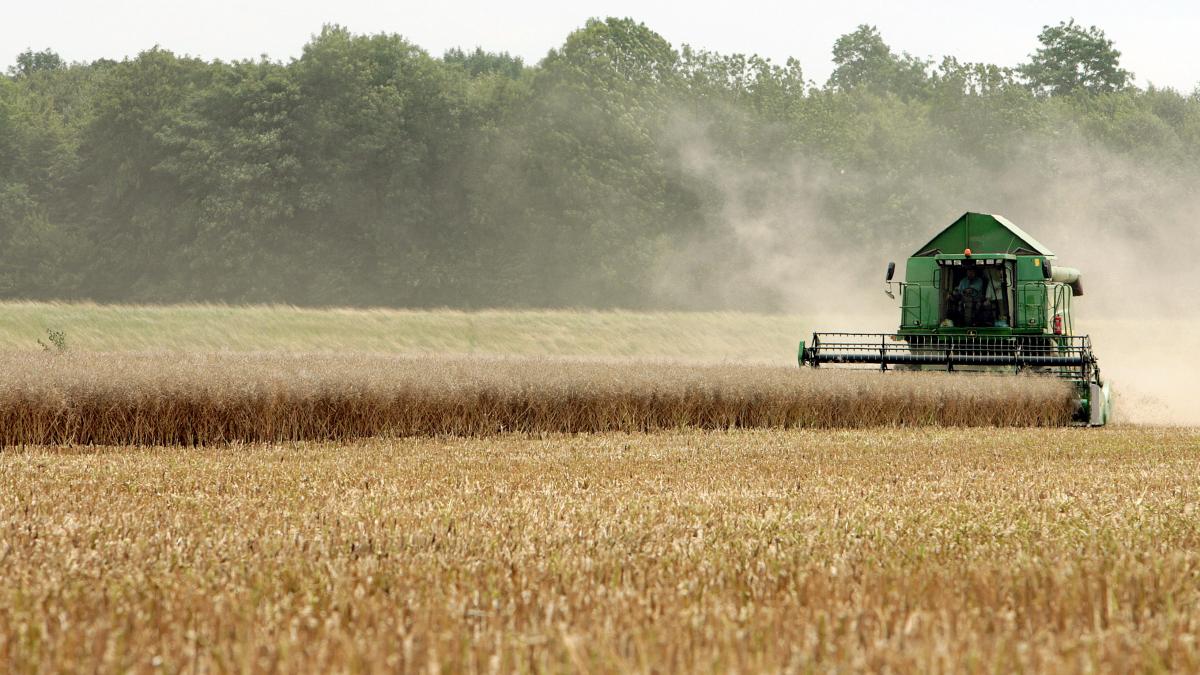 Cum contribuie agricultura la încălzirea globală