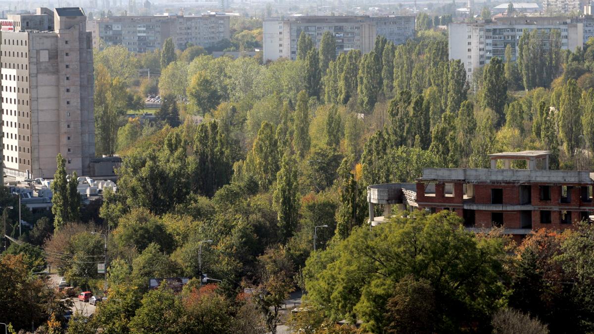 Defrişări masive în nordul Bucureştiului