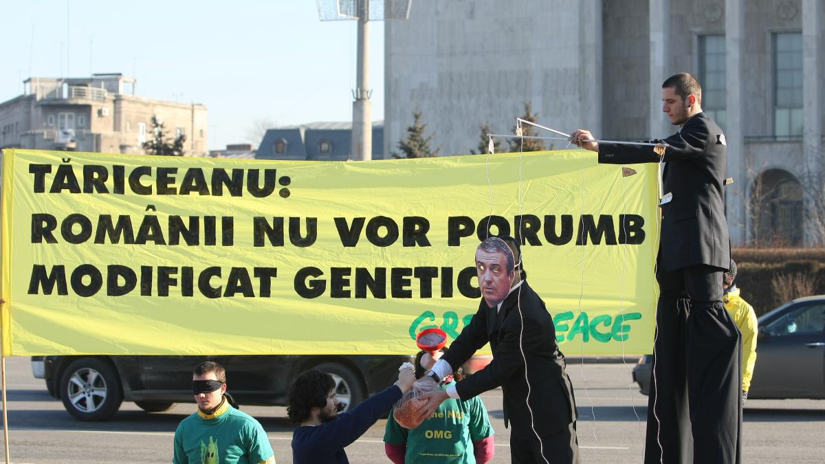 Protest Greenpeace anti-OMG