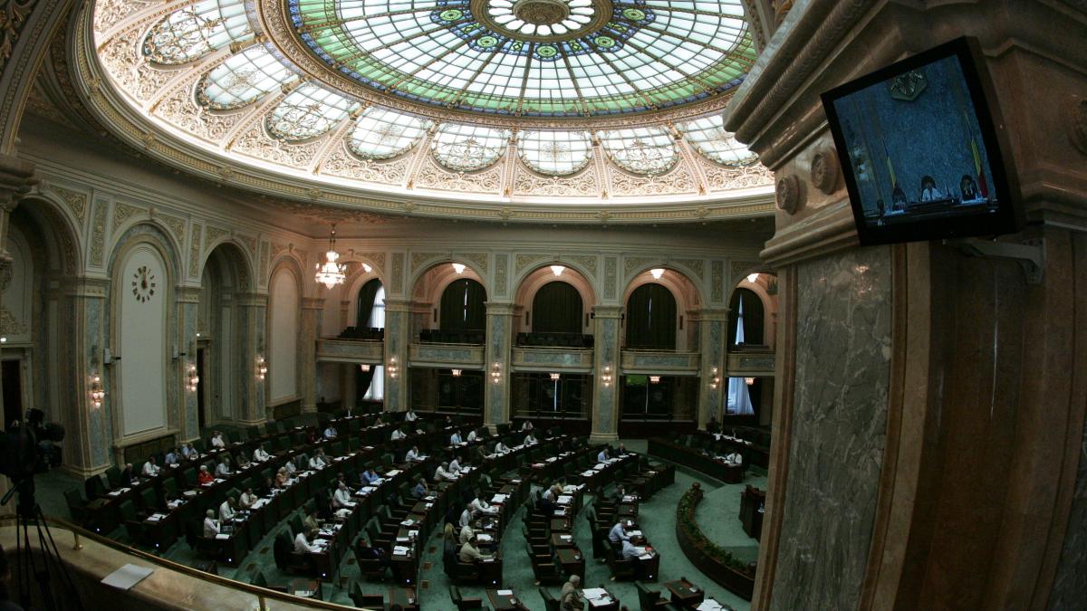 Senatul face apel la judecata Curţii