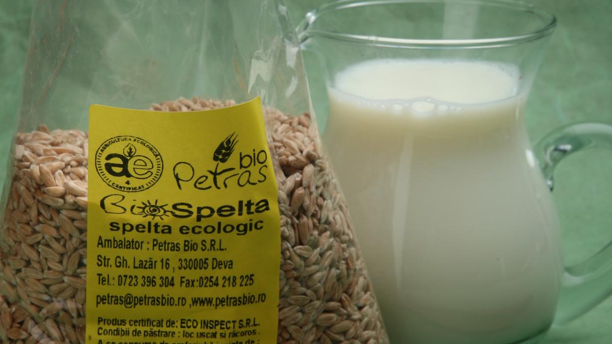 Produsul zilei - Grâu spelta ecologic