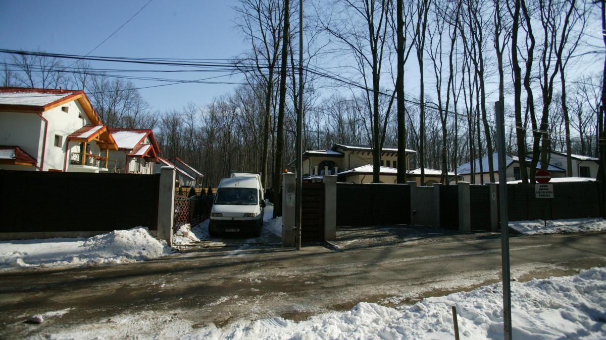 Topoare şi mistrii în Pădurea Băneasa