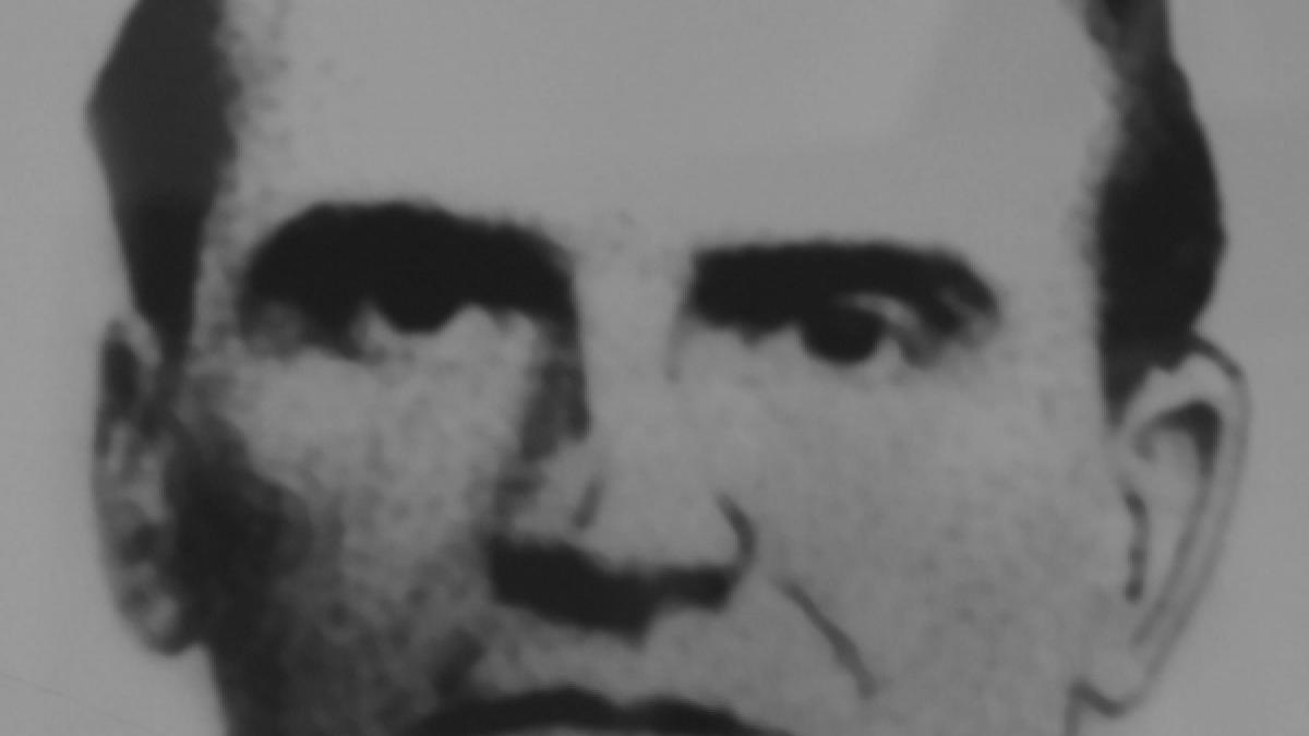 Luptătorii din munţi