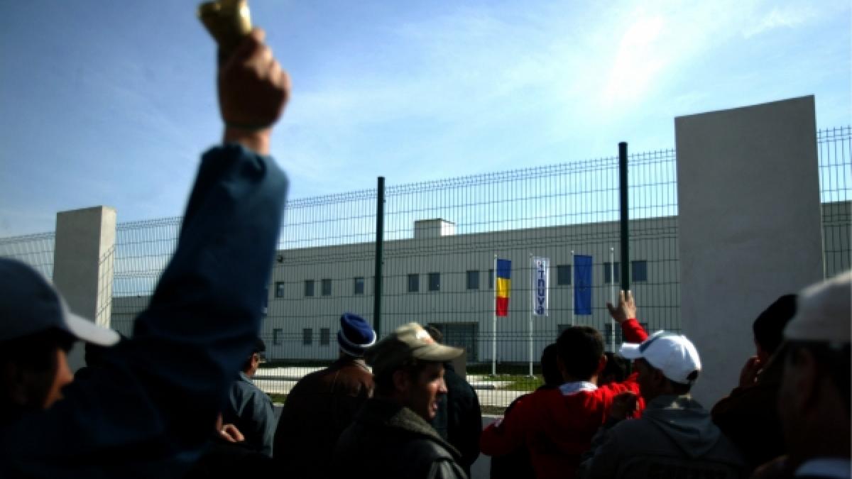 Proteste - Cartelul laptelui