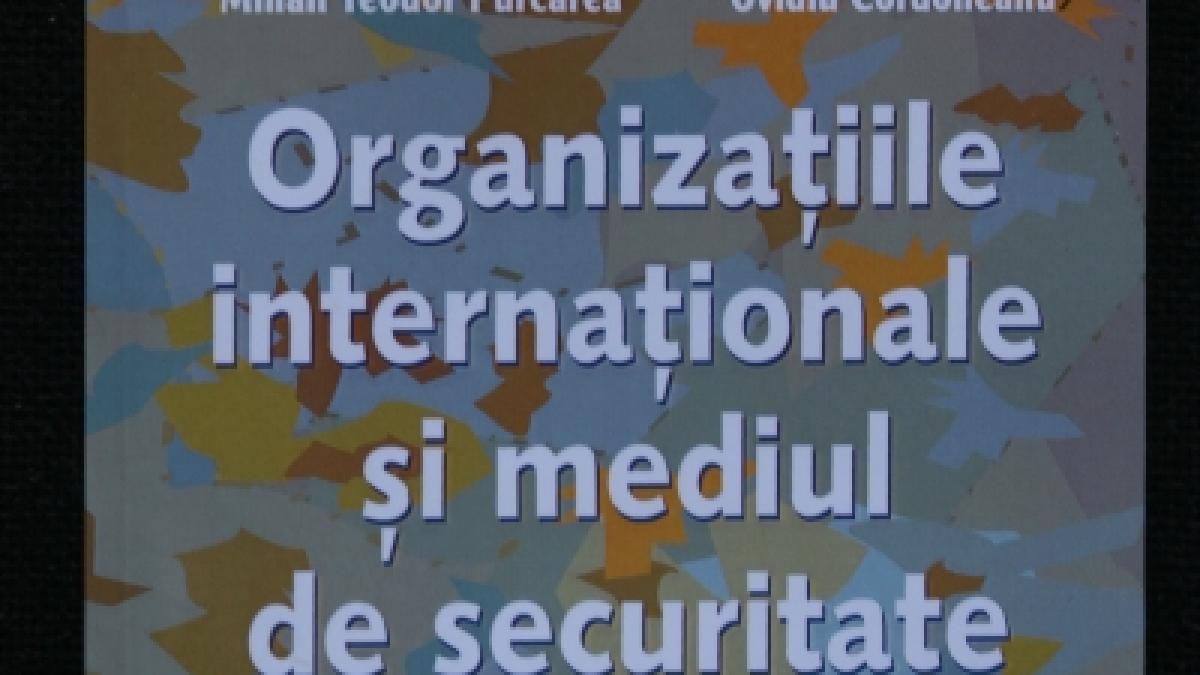 Mediul de securitate