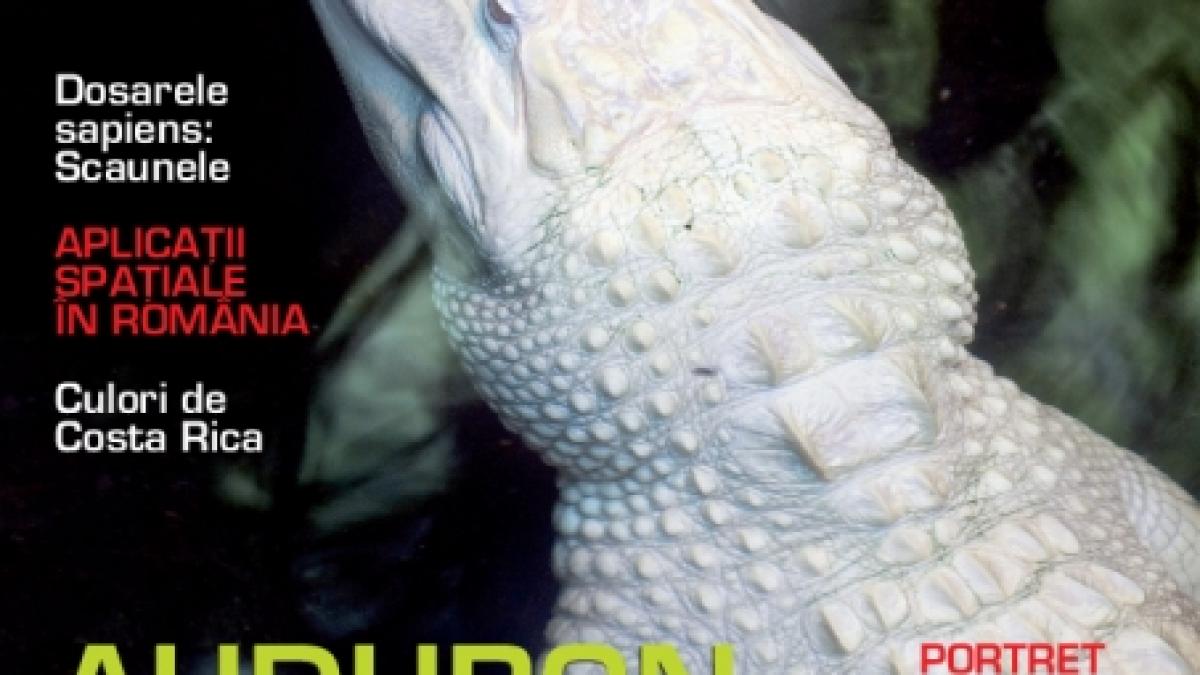ZOOM: Audubon aquarium- Giuvaierul Sudului
