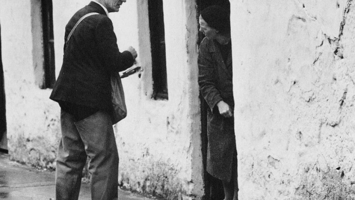 Cel descoperit în fotografie