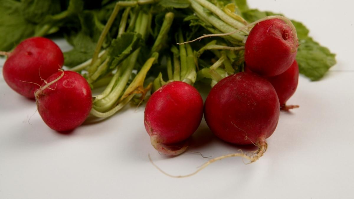 Vitamine din ridichi