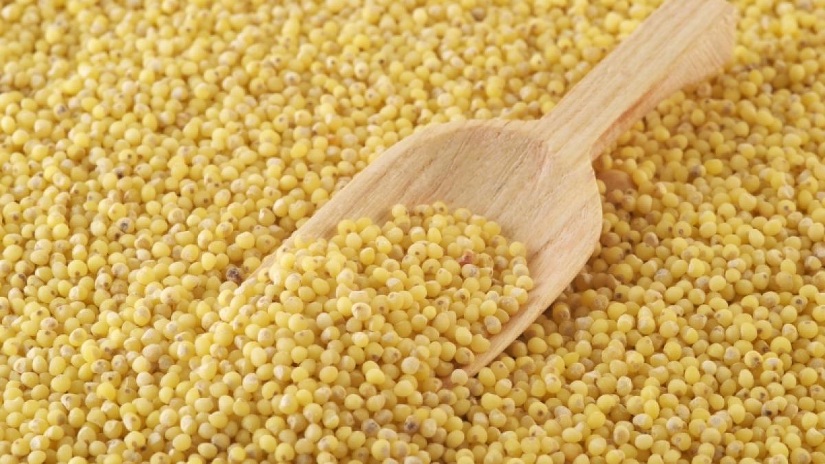 Meiul – regele cerealelor