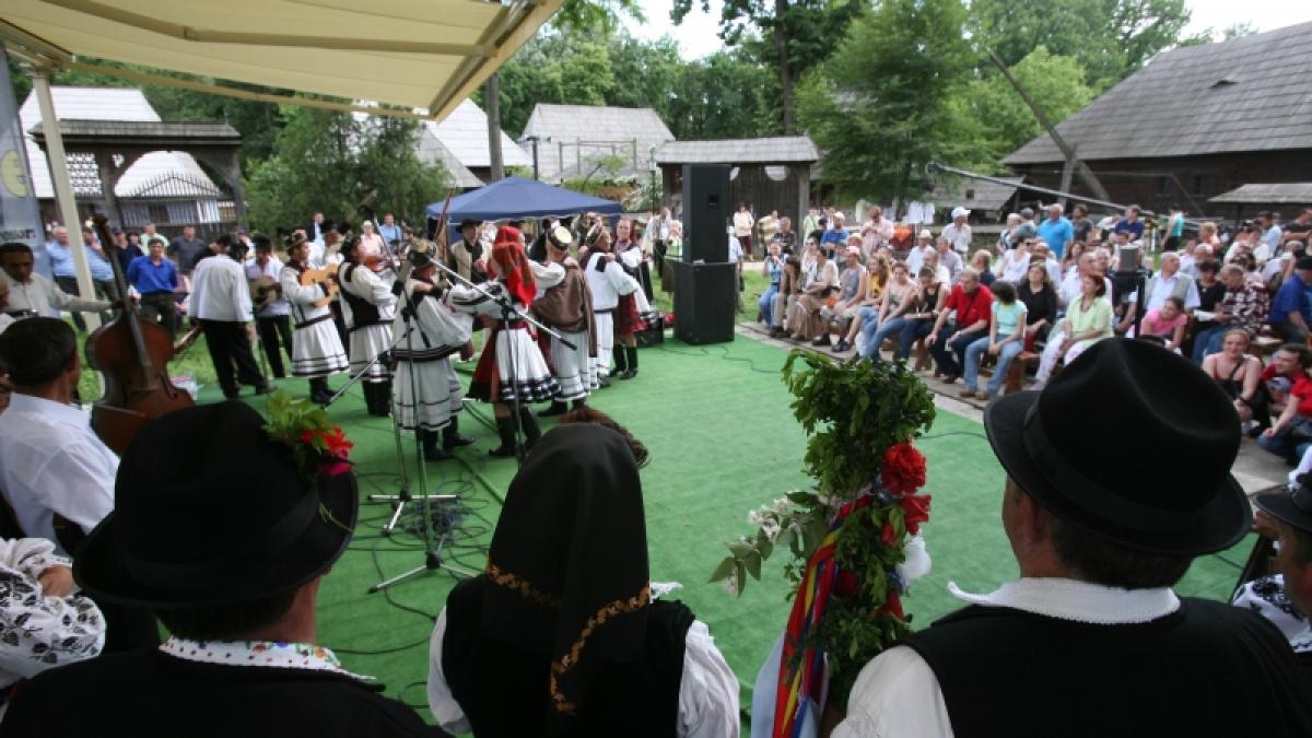 Tarafuri şi fanfare