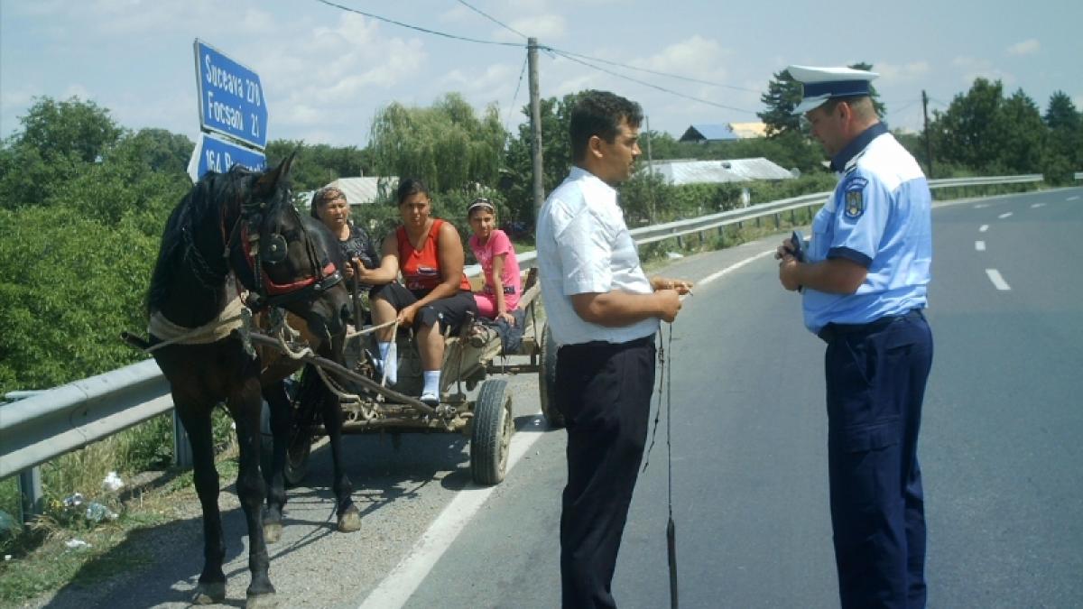 România în cinci minute