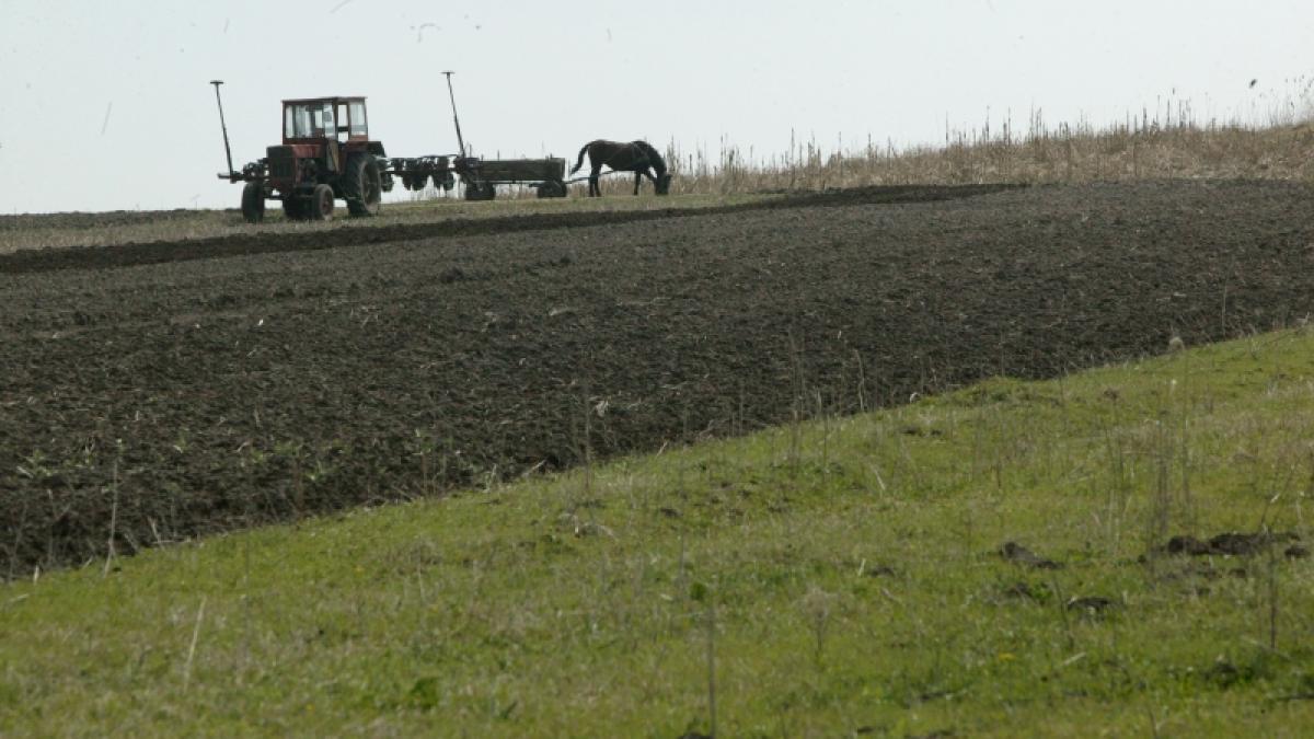 170 milioane € pentru fermieri