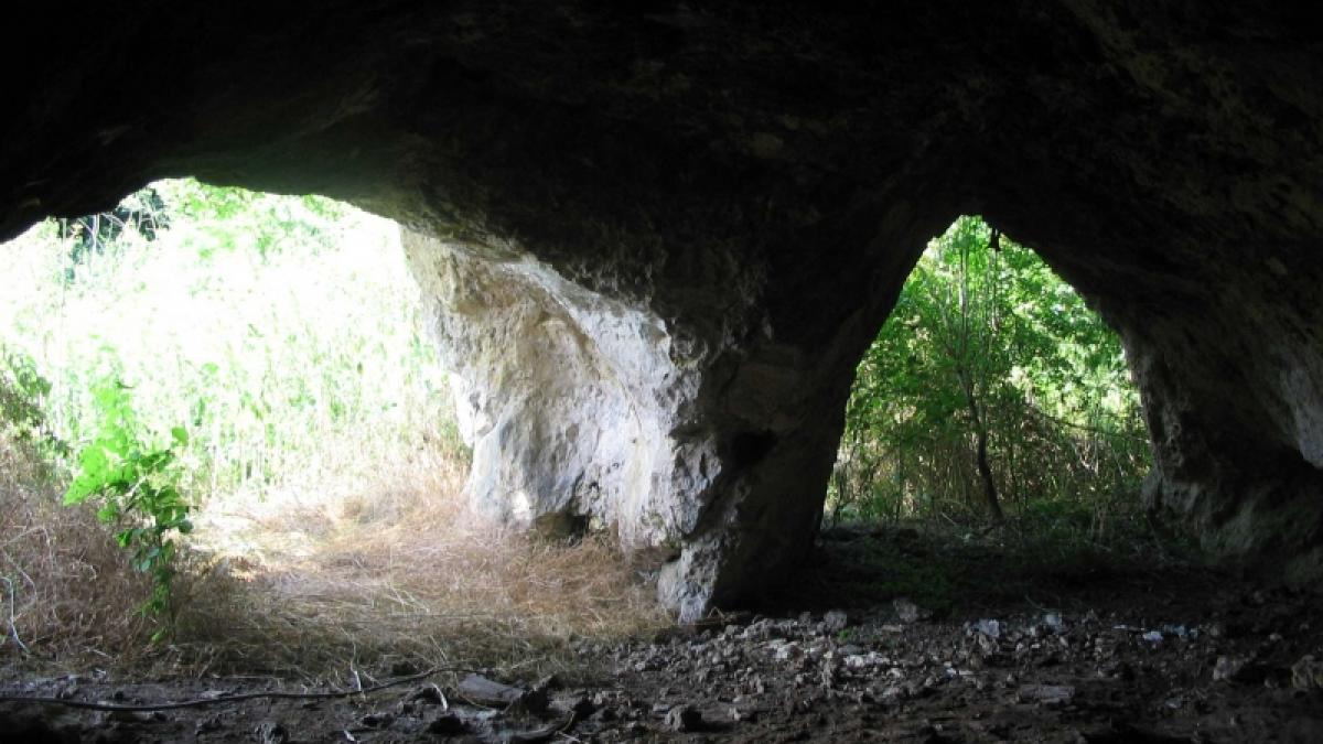Canaraua din sînul viperelor
