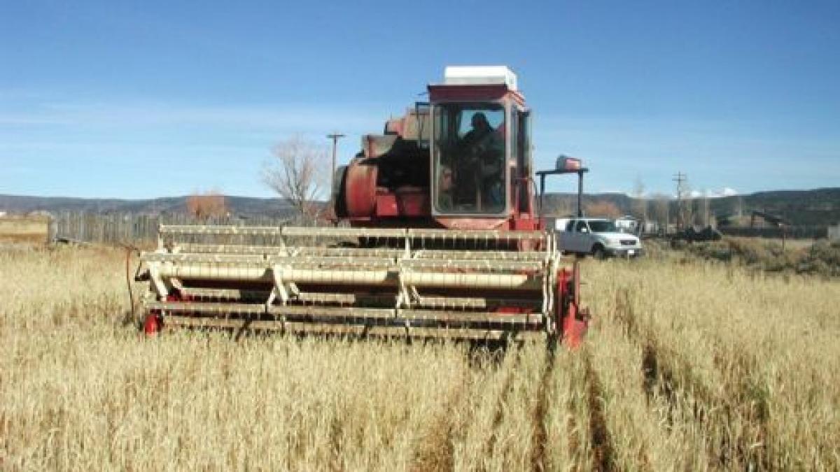 Ministerul Agriculturii pierde milioane de euro
