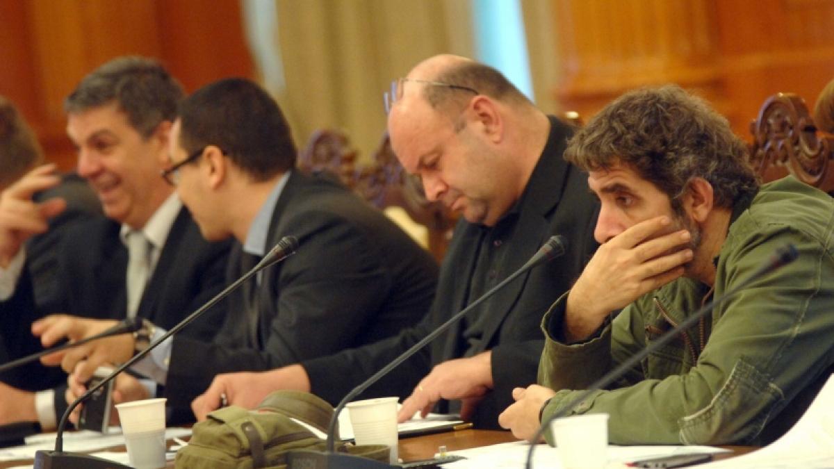 Decupaj politic